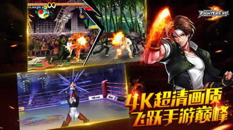 办公软件拳皇97单机版手机版同英雄ipad版下载官方下载,全面数据执行计划_uShop_v4.803,提升个人与团队效率的综合解决方案