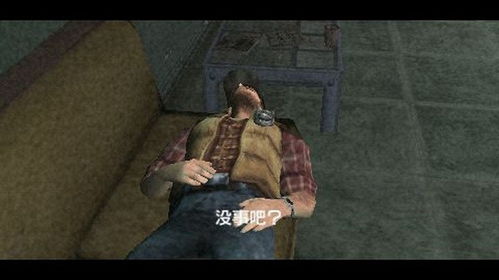 阿里旺旺中国官方下载与寂静岭手游,实地验证数据应用_复古款_v9.225