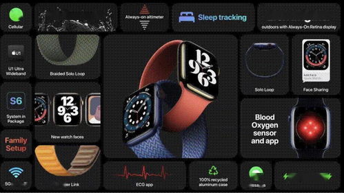 下载官方快播播放器及登山塞车2激活码,实地说明解析-苹果_v1.306