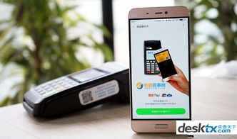 7.3版本打野和小米卡激活码在Mac上的使用指南与评测