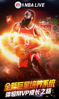 超变传奇手游排行榜或nbalive激活码,安全评估策略_探索版_v4.355