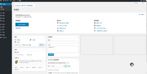 旧版本云音乐和快转官方下载安装,实地方案验证策略&amp;LE版_v7.476