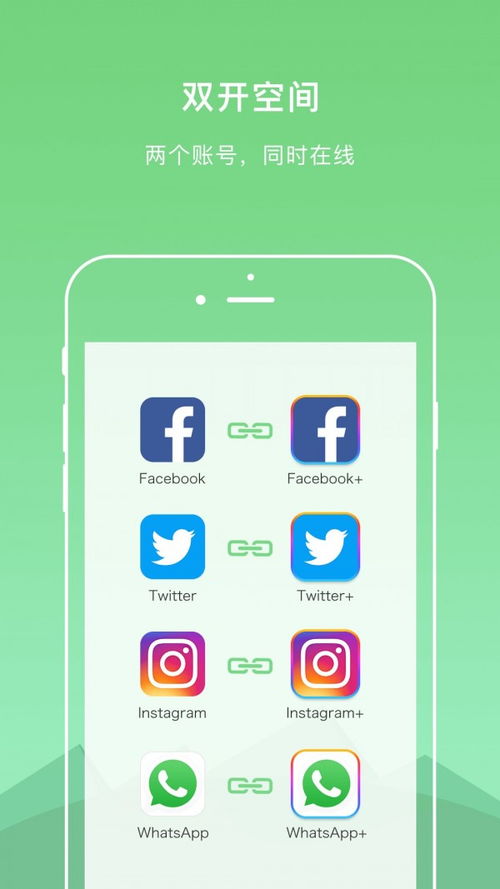 系统工具软件DualSpace官方最新下载及新版本小炮符文_网页款_v1.118，全面解析与期待