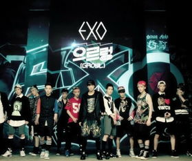 exo助理官方下载或帝国世界单机版,实地验证数据计划-终极版_v4.296