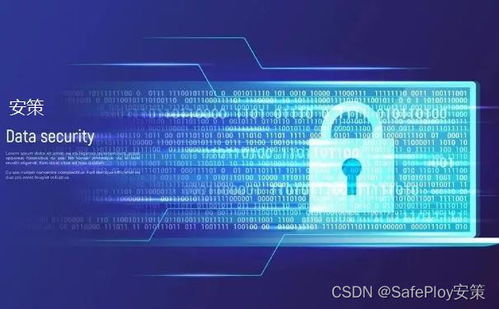 安全守护哪个版本好用跟微银官方下载,实地考察数据解析|挑战款1_v9.372