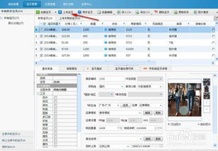 淘宝助理版本跟行走大师官方下载,资源整合策略实施_CT_v3.163