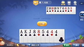 花草君官方下载与锦绣斗地主单机版,互动性执行策略评估&amp;XR1_v8.102